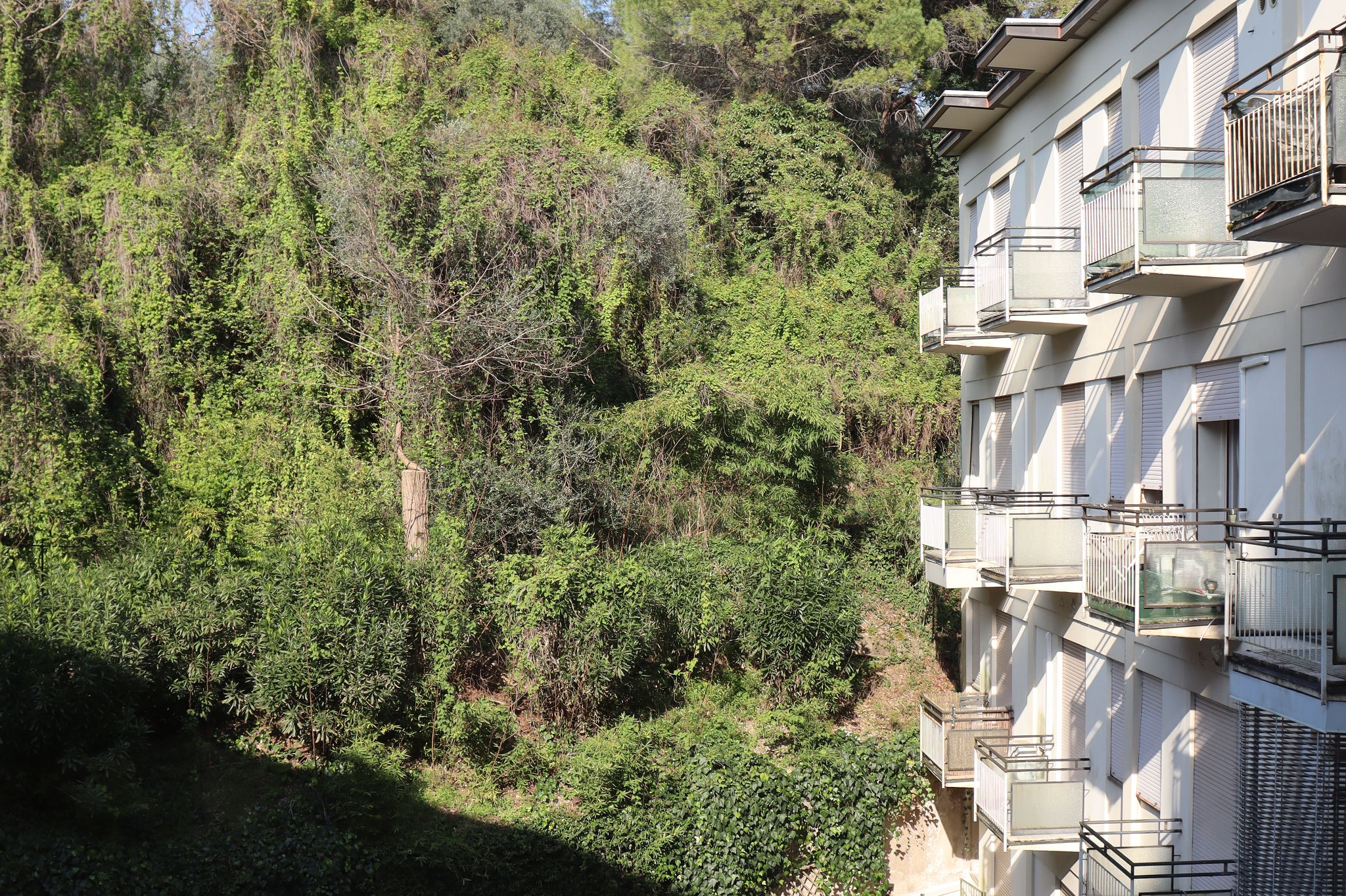 Appartamento 301 in Garda